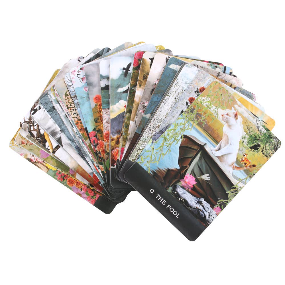 Grimalkin's Curious Cats Tarotkort