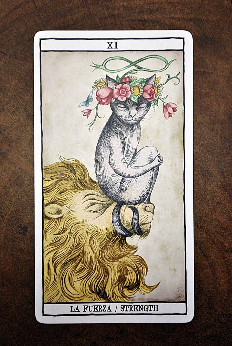 Tarot Cats Cards Fournier