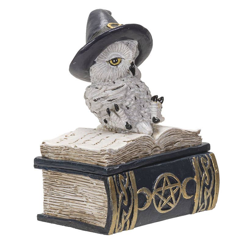 15115 Ugle på magisk bok - Skrin