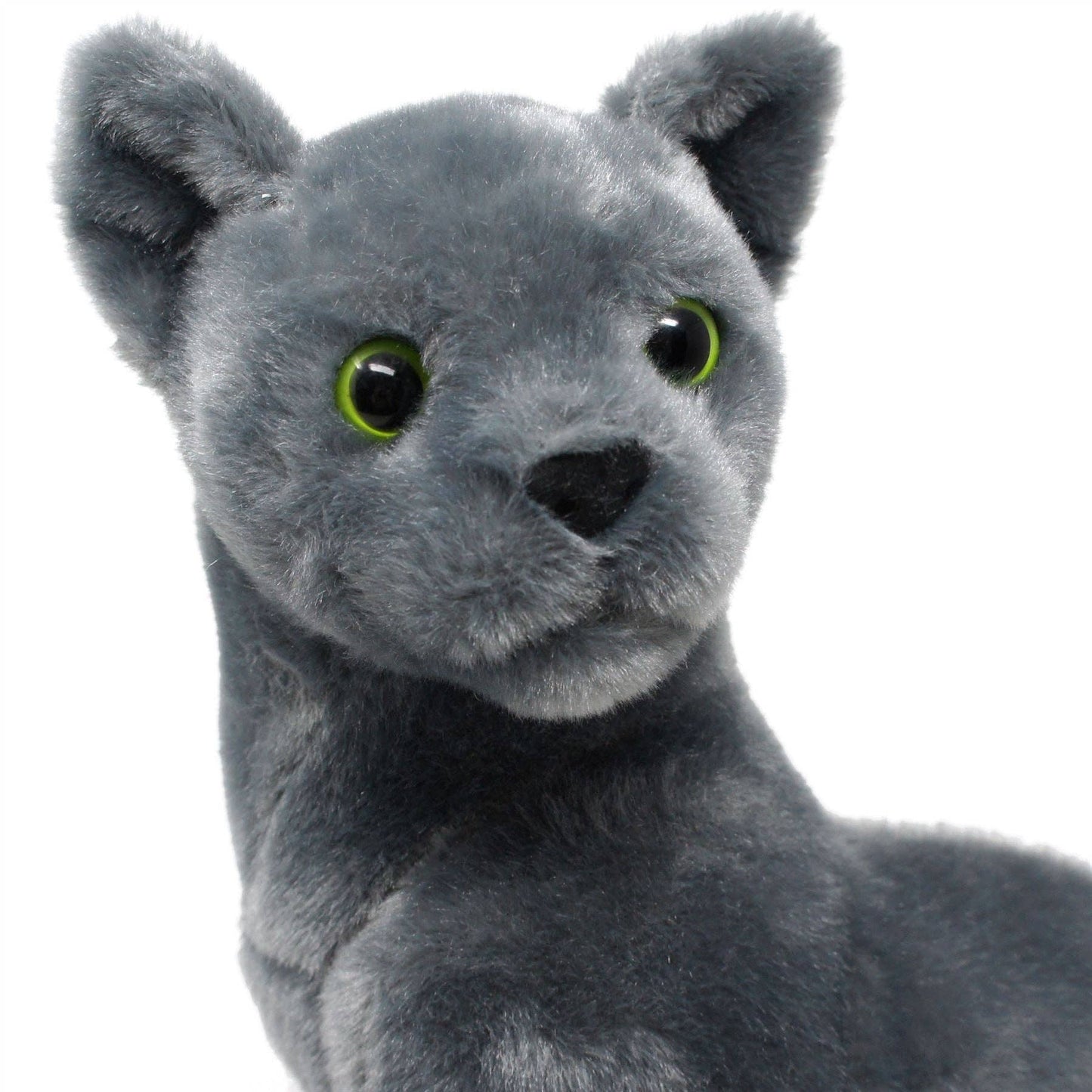 Rae The Russian Blue     katt bamse