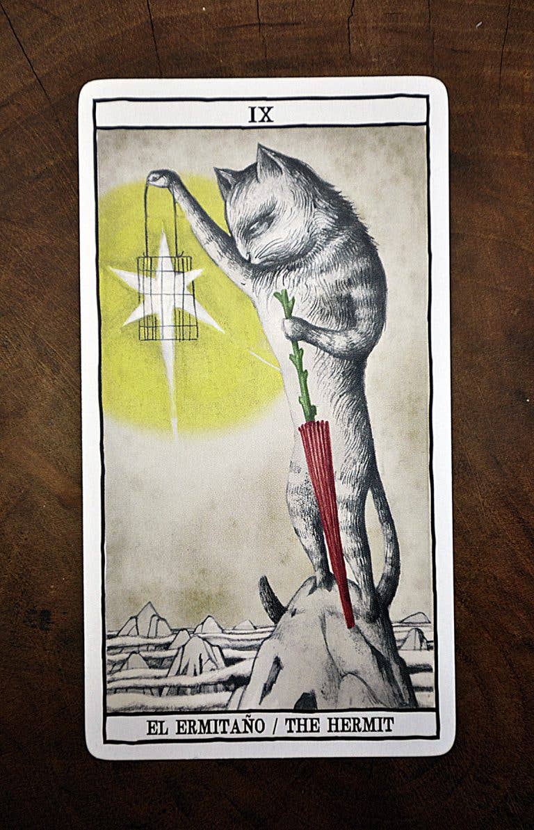 Tarot Cats Cards Fournier