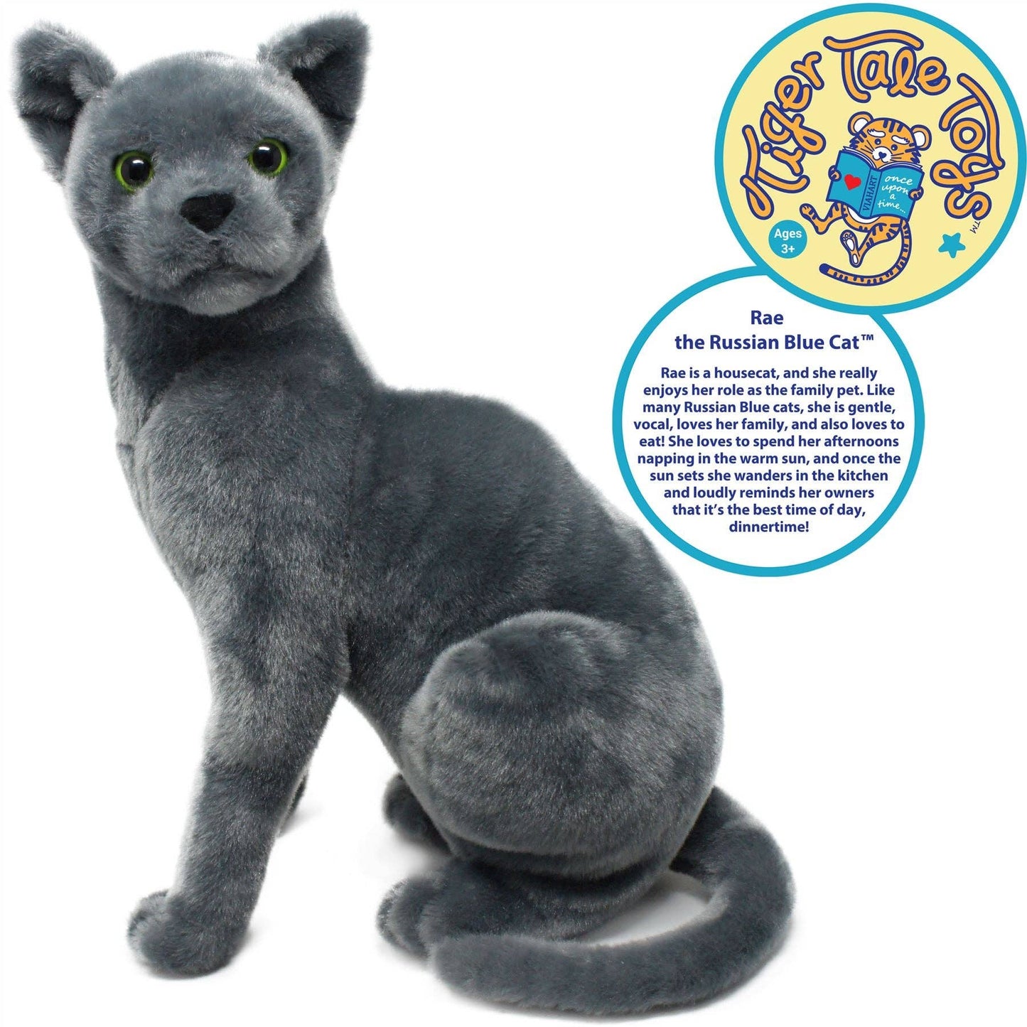 Rae The Russian Blue     katt bamse