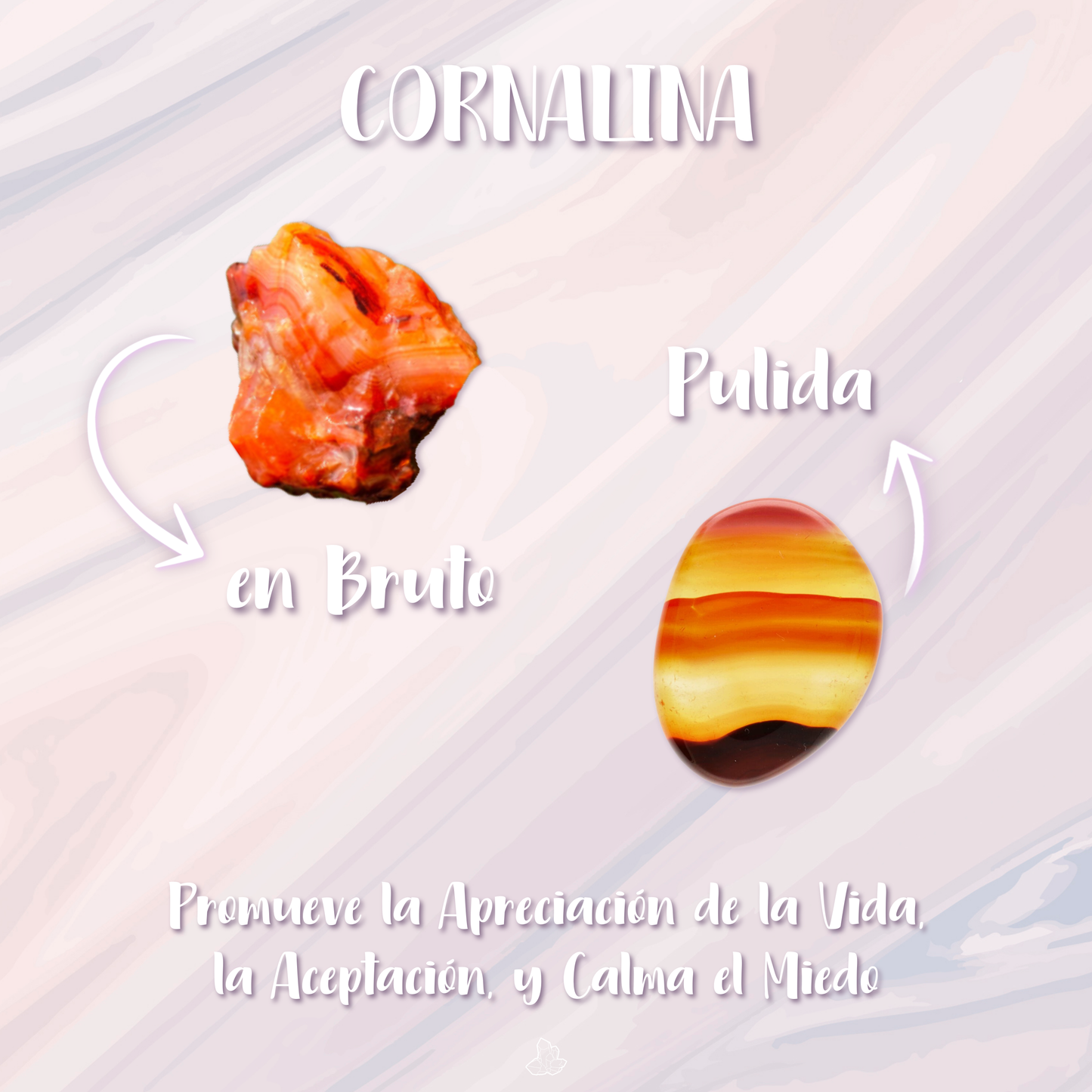 Carnelian Point Pendant with Spiral in Silver Bath