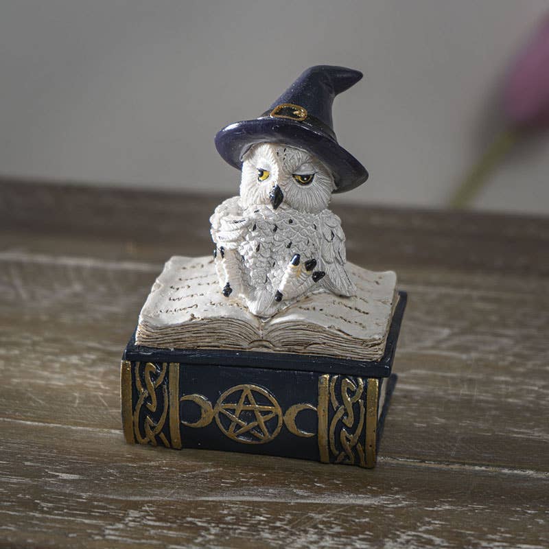 15115 Ugle på magisk bok - Skrin