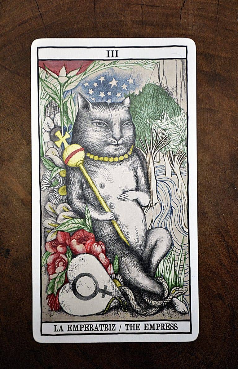 Tarot Cats Cards Fournier