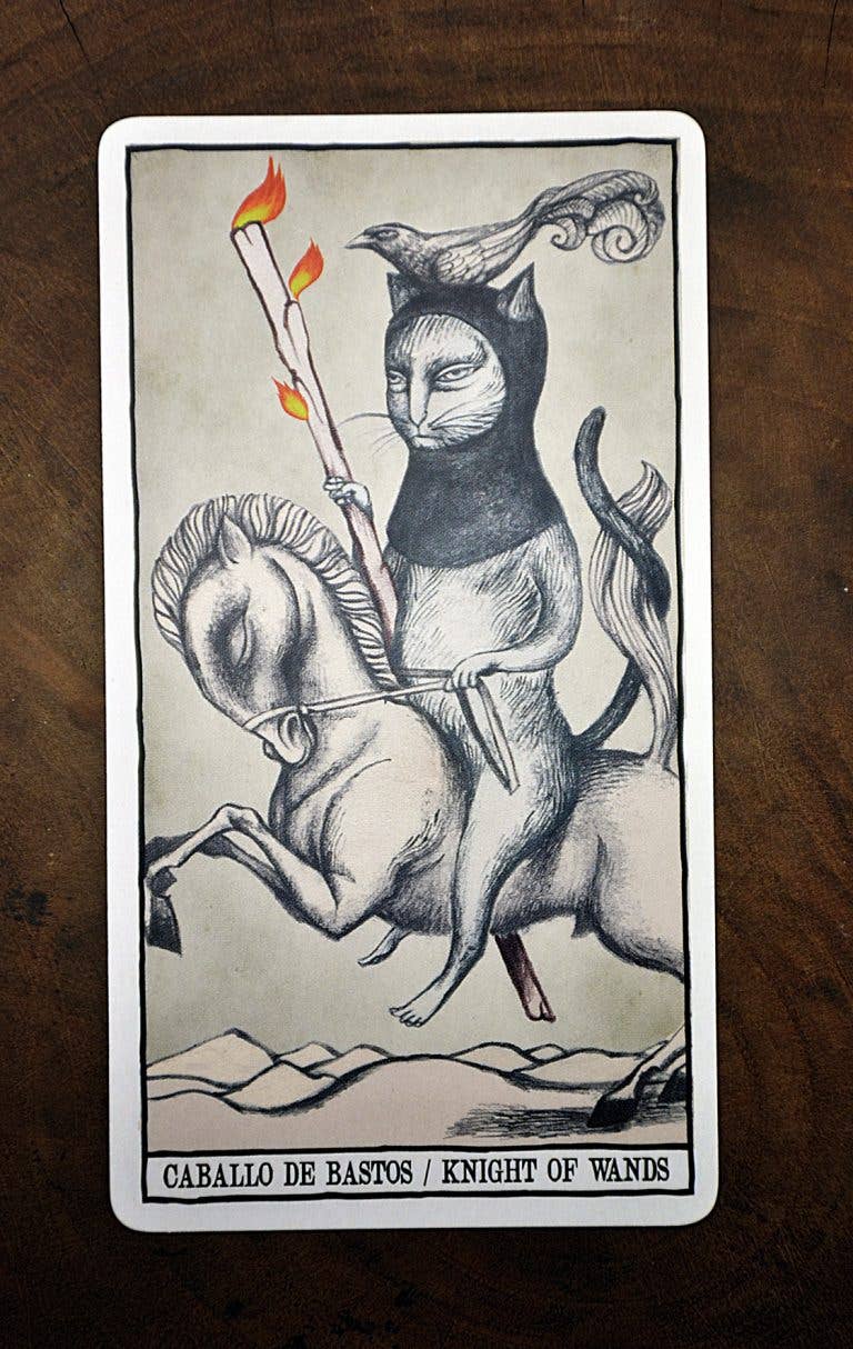 Tarot Cats Cards Fournier